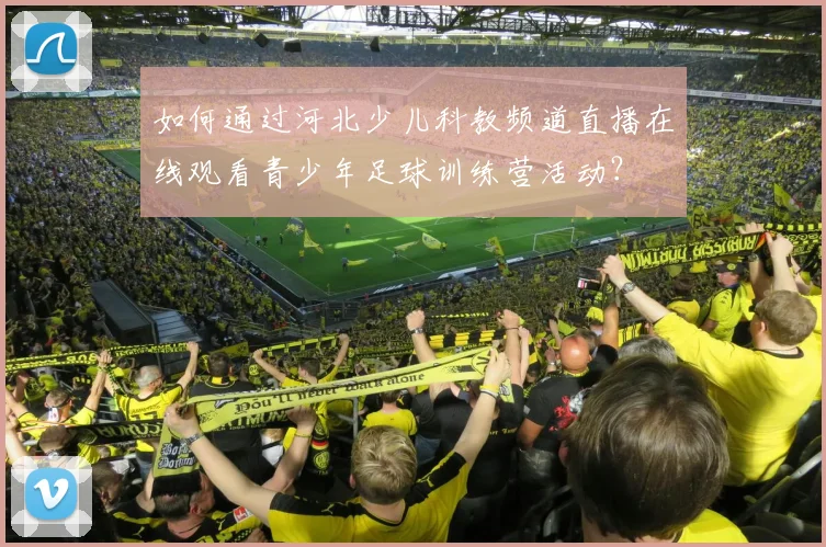 如何通过河北少儿科教频道直播在线观看青少年足球训练营活动？