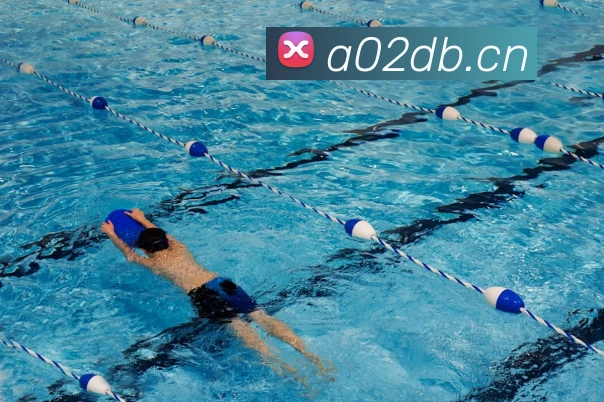 九游网页版登录界面平台生态图