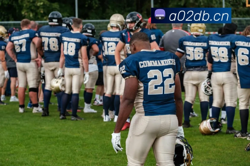 九游网页版登录界面全站App